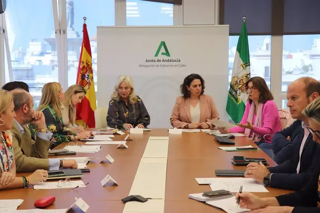 Mercedes Colombo en la Comisi&oacute;n Territorial de Ordenaci&oacute;n del Territorio y Urbanismo. - JUNTA DE ANDALUC&Iacute;A