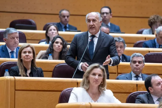 Landaluce durante su intervenci&oacute;n en el Senado