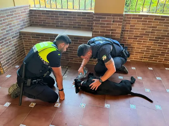 Un momento del rescate
