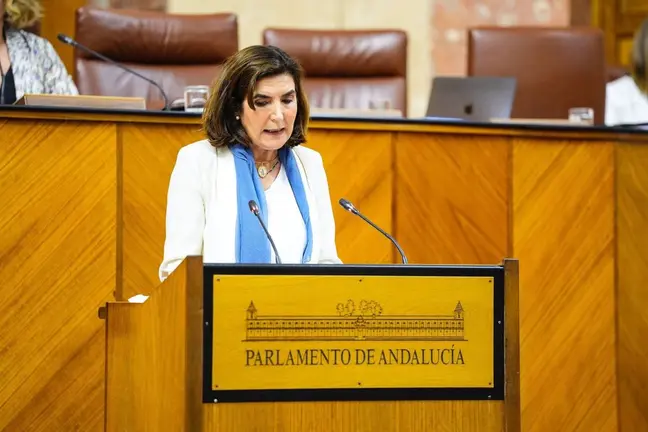 La consejera de Empleo Roc&iacute;o Blanco