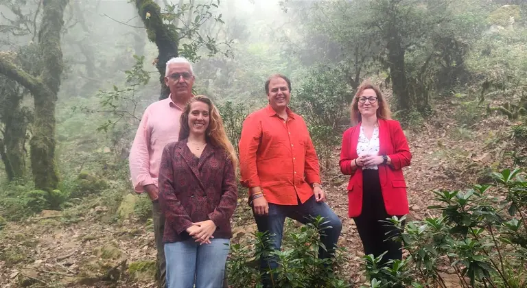 Actuaci&oacute;n en el Bosque de Niebla