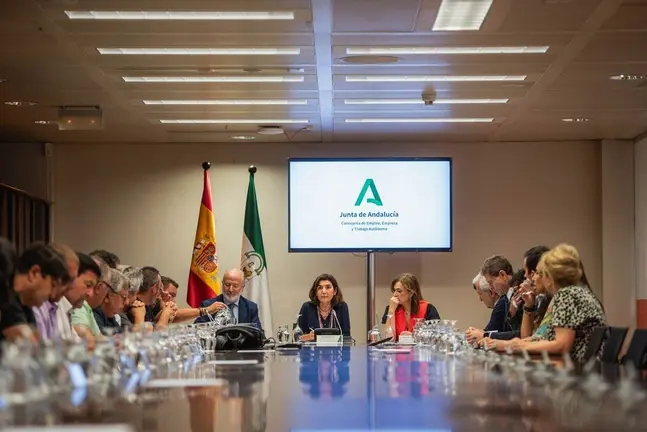 Reuni&oacute;n en la Consejer&iacute;a de Empleo entre Junta, Acerinox y sindicatos