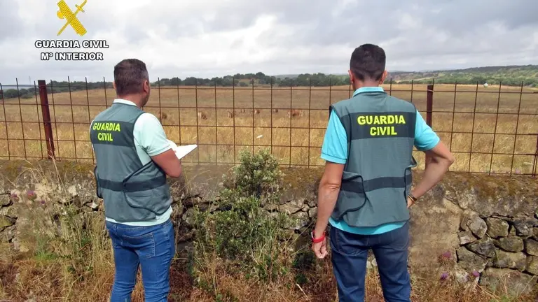 Actuaci&oacute;n de la Guardia Civil en una dehesa