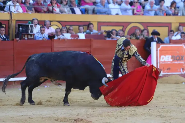 Un instante de la corrida