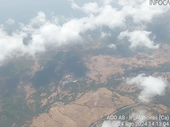 Incendio forestal de Pelayo