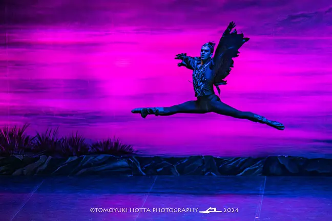 Swan Lake. Foto Tomoyuki Hotta