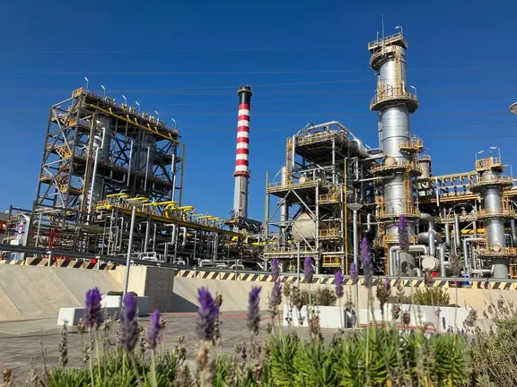 Planta Qu&iacute;mica Puente Mayorga - Cepsa