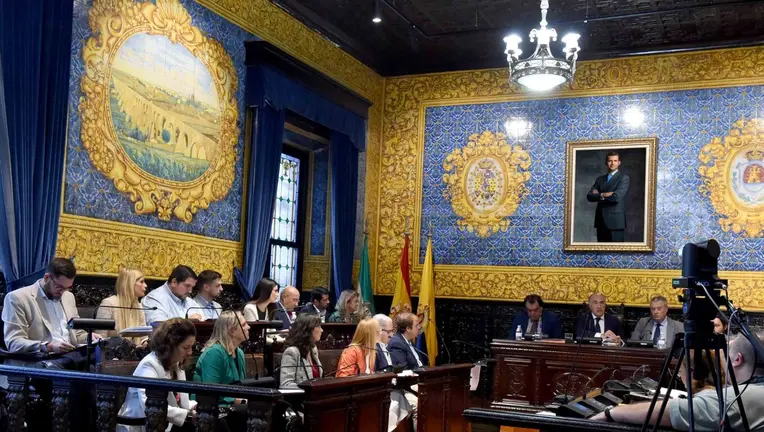 Pleno ordinario
