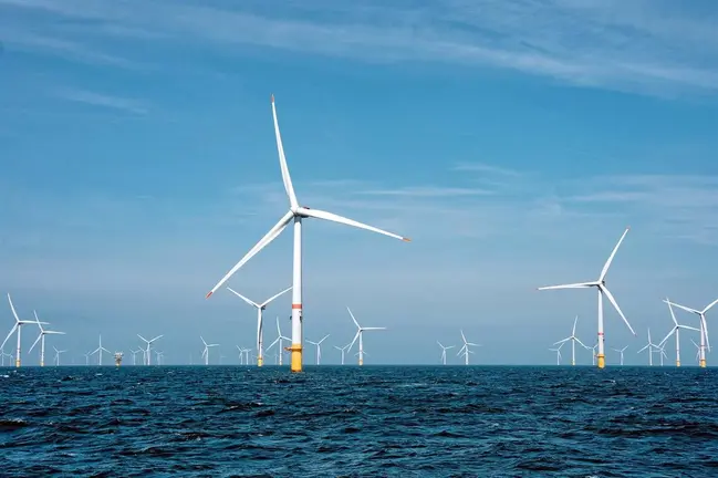 Parque e&oacute;lico marino - Ecologistas en Acci&oacute;n