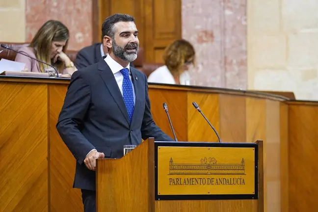 El consejero, Ram&oacute;n Fern&aacute;ndez Pacheco