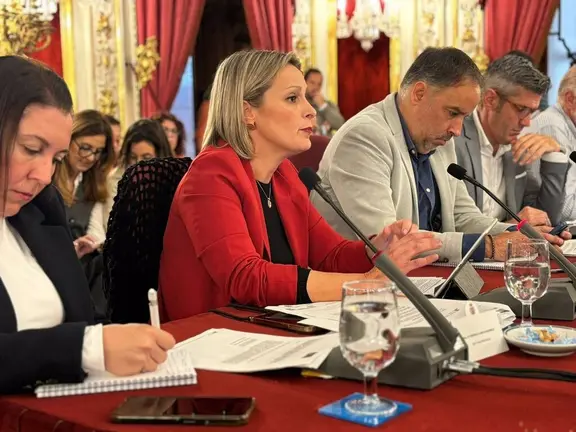 Ana Ruiz, diputada del PSOE en la Diputaci&oacute;n de C&aacute;diz. - PSOE