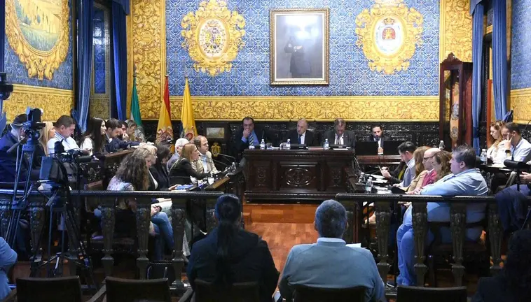 Pleno ordinario de noviembre