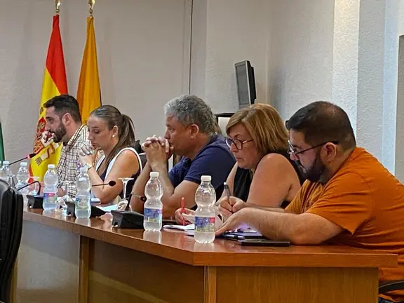 Pleno de Los Barrios