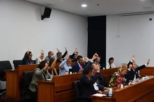 Pleno de Los Barrios