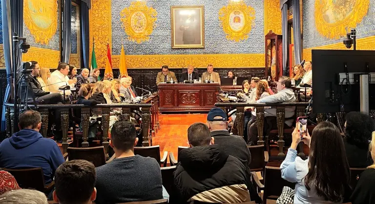 Pleno ordinario