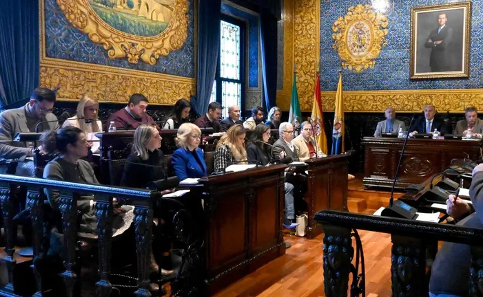 Pleno ordinario