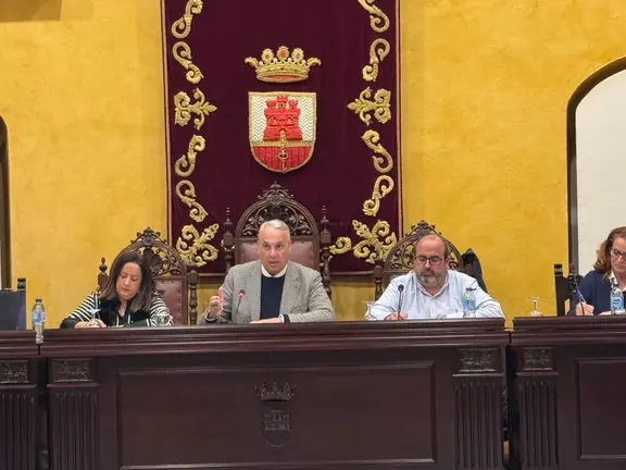 Ruiz Boix en el Pleno Ordinario de San Roque