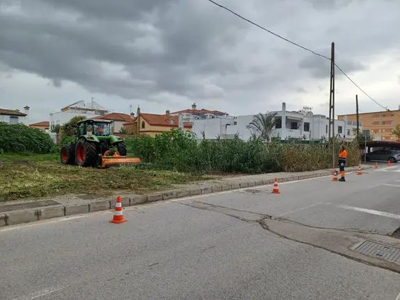 Acondicionamiento de las parcelas