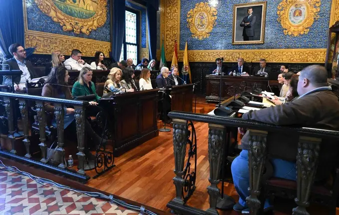 Pleno ordinario