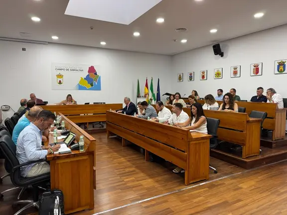 Pleno de Mancomunidad