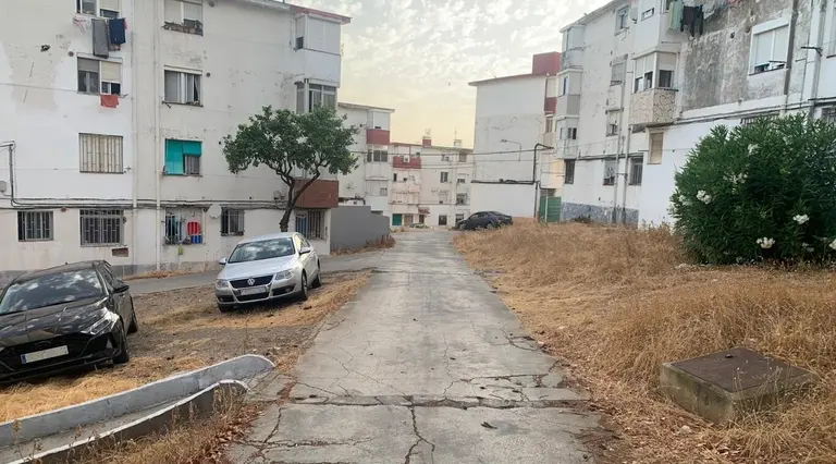 Una calle de La Pi&ntilde;era