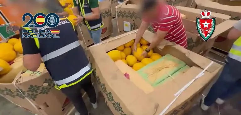 Intervenci&oacute;n del hach&iacute;s entre melones
