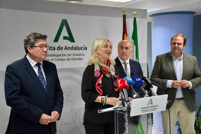 Presentaci&oacute;n del plan