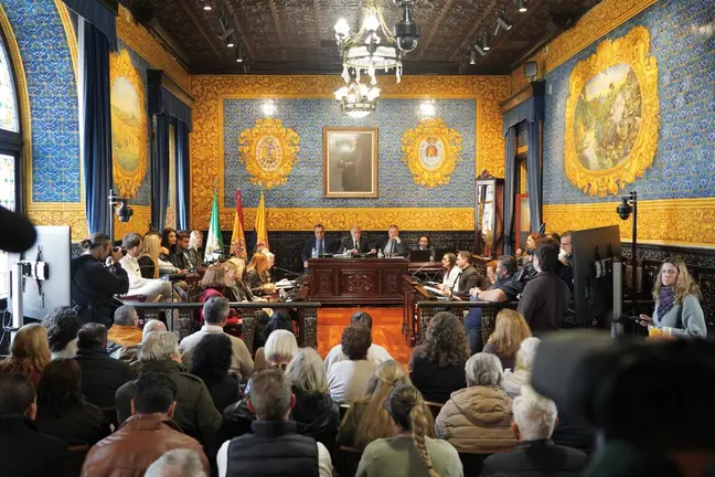 Pleno extraordinario
