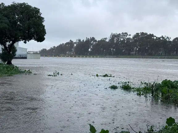 Efectos del temporal