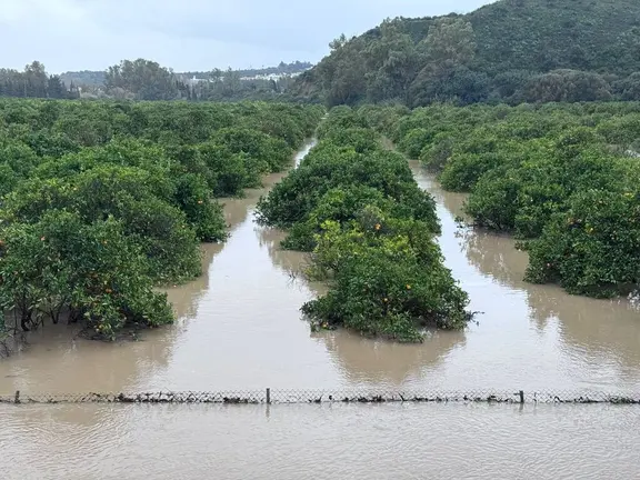 Da&ntilde;os por el temporal