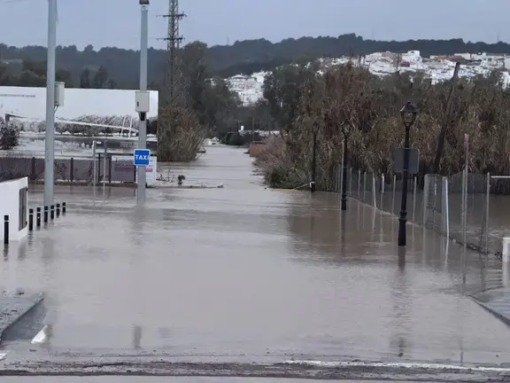 Da&ntilde;os en el municipio
