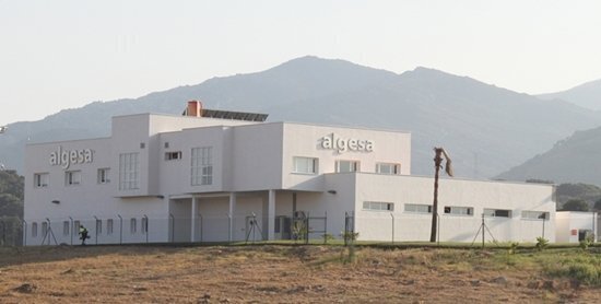 Algesa
