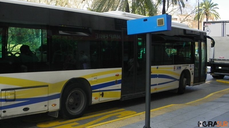 Bus CTM