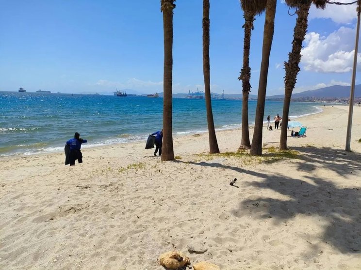 Limpieza de la playa de Palmones con personal del Plan de Empleo