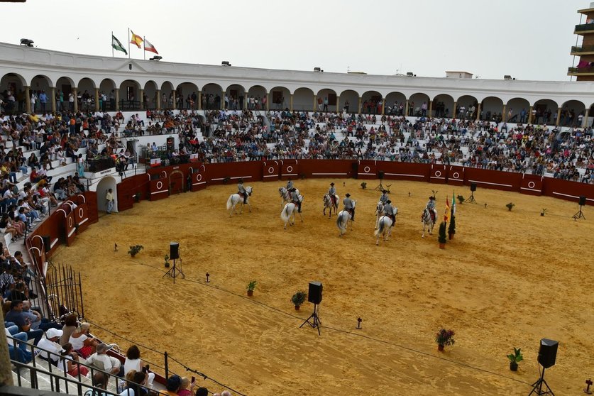 bailan_caballos_andaluces