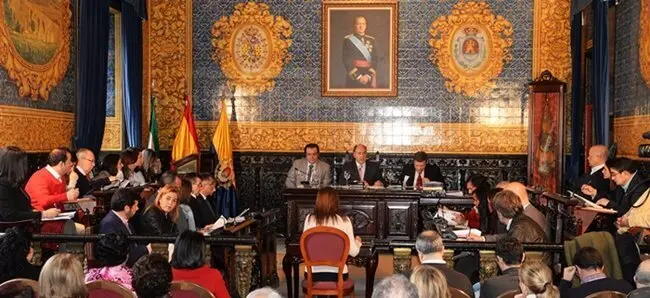 Pleno Ordinario Enero 2014