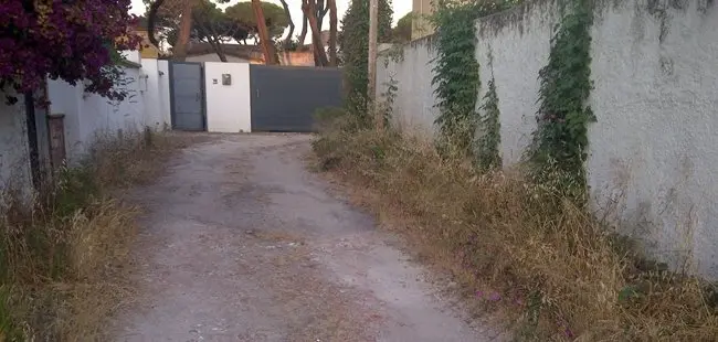 Calle Olivo