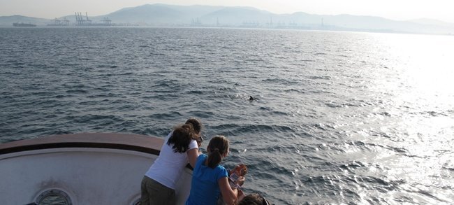 Delfines desde Jackelin en la Bahía de Algeciras