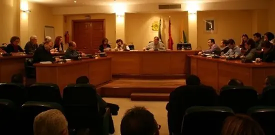 Pleno Los Barrios, Ene2013