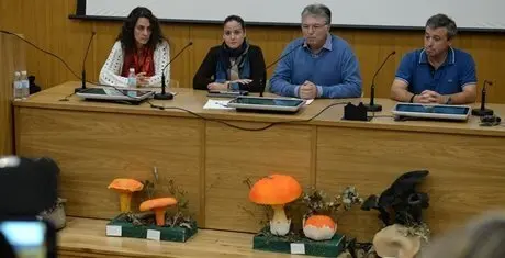 clausura micologicas
