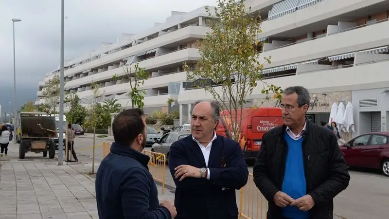 VISITA MIRADOR DE LA BAHIA ARBOLES