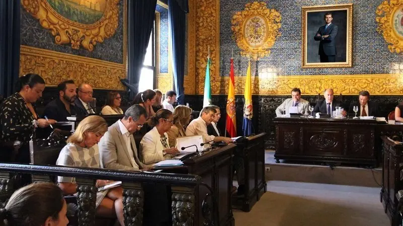 PLENO ORDINARIO (4)