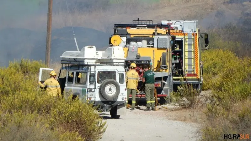 Infoca y Bomberos en Alamillos