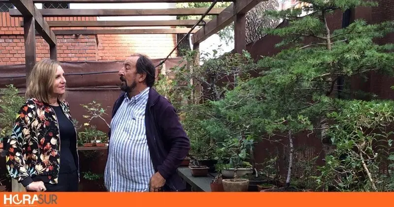 Jardin del Bonsai