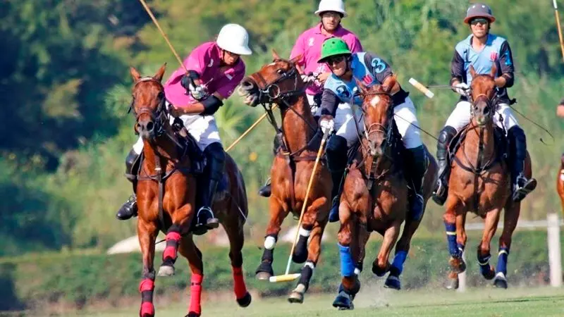 JP Polo vs Pilar Chico