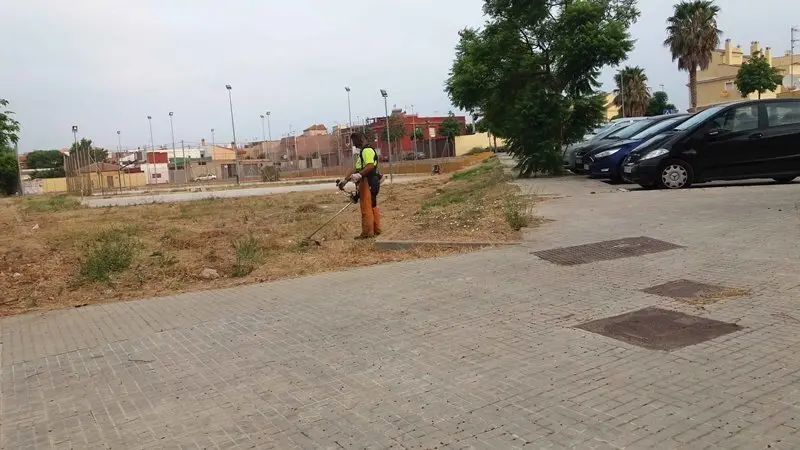 LIMPIEZA ACEBUCHAL