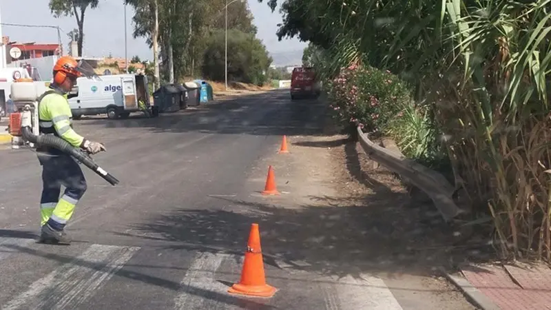 LIMPIOEZA AVENIDA DE LAS FLORES