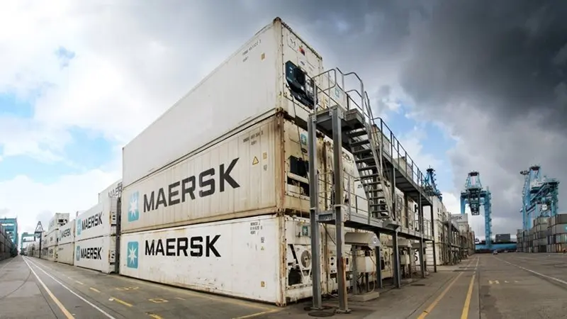 Contenedores reefer en el Puerto de Algeciras