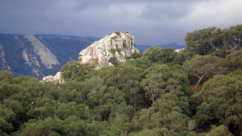 Una imagen del Parque Natural Los Alcornocales