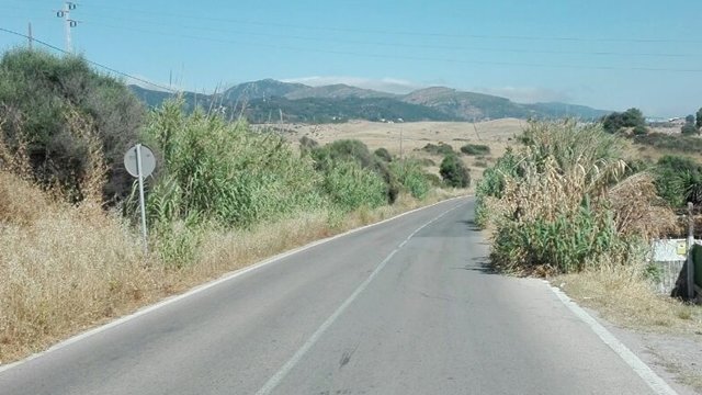 Estado actual de la carretera del Faro con la maleza inundando la carretera